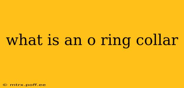 what is an o ring collar