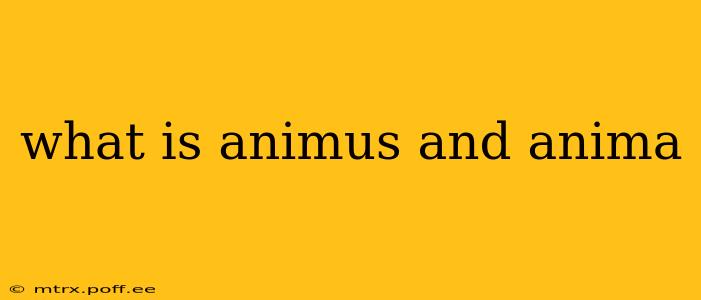 what is animus and anima