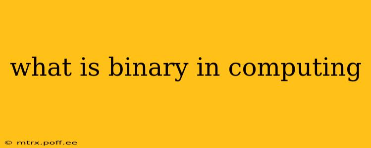 what is binary in computing
