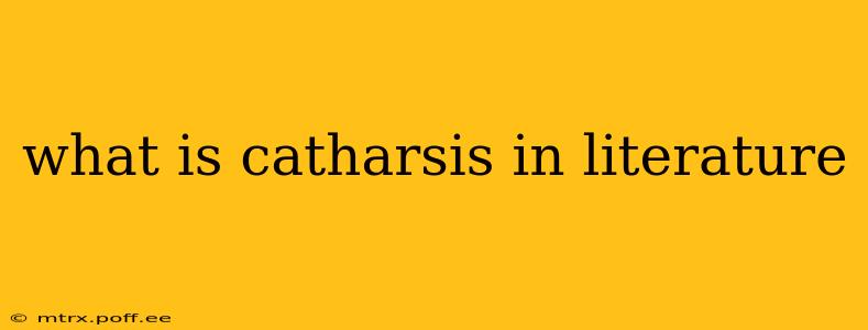 what is catharsis in literature