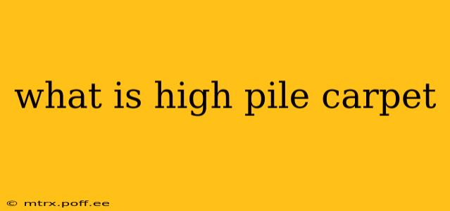 what is high pile carpet