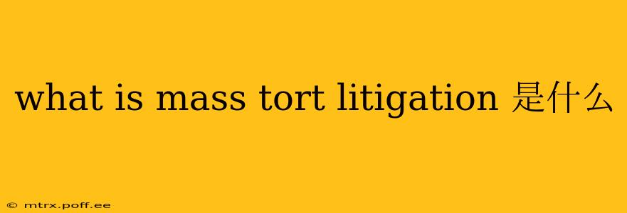 what is mass tort litigation 是什么