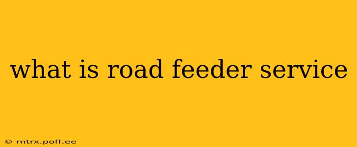 what is road feeder service