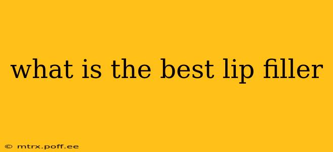 what is the best lip filler