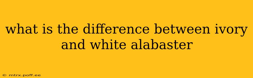 what is the difference between ivory and white alabaster