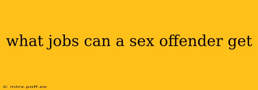 what jobs can a sex offender get