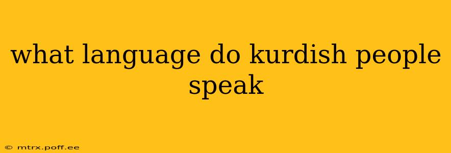 what language do kurdish people speak