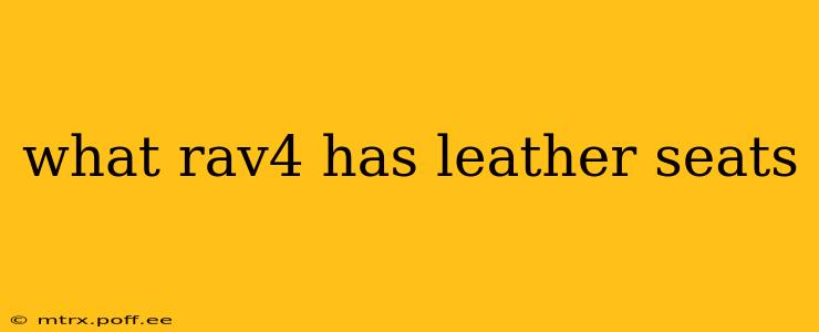 what rav4 has leather seats