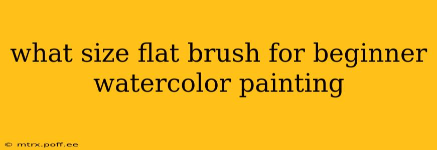 what size flat brush for beginner watercolor painting