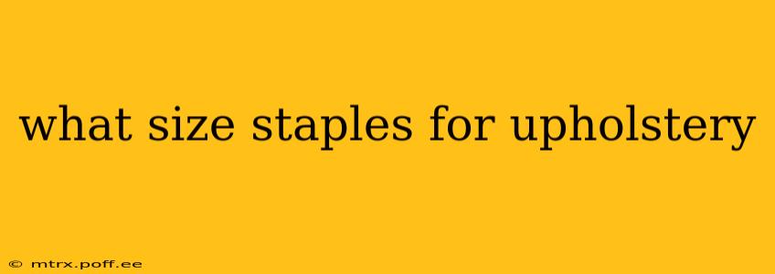 what size staples for upholstery