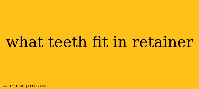what teeth fit in retainer