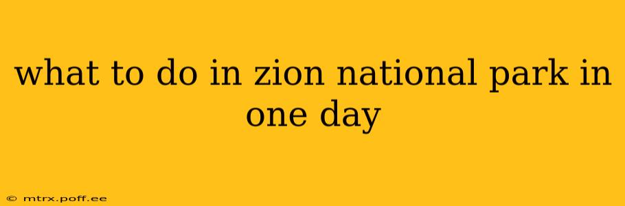 what to do in zion national park in one day