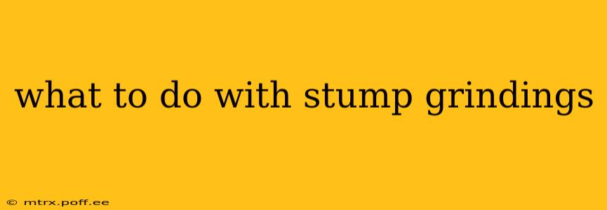 what to do with stump grindings