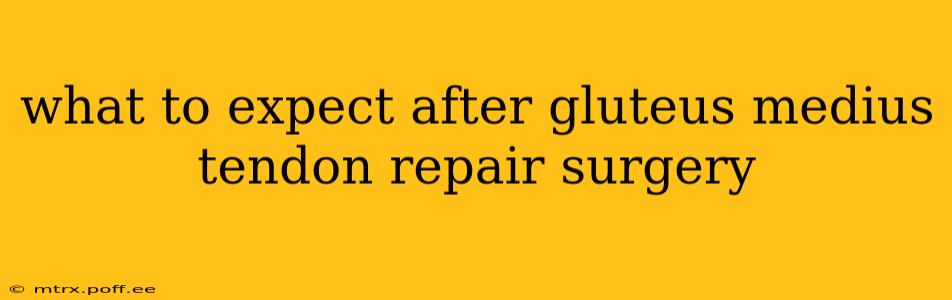 what to expect after gluteus medius tendon repair surgery
