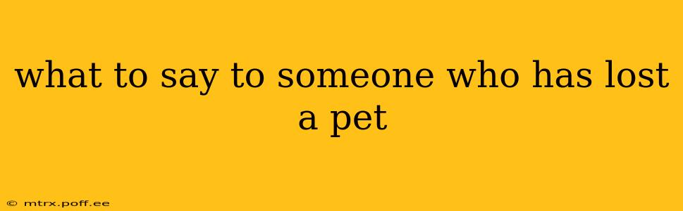 what to say to someone who has lost a pet