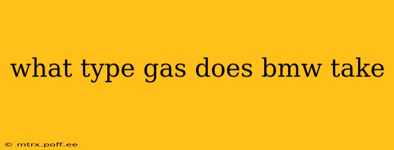 what type gas does bmw take