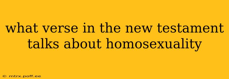 what verse in the new testament talks about homosexuality