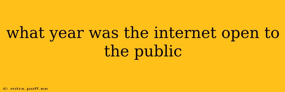 what year was the internet open to the public