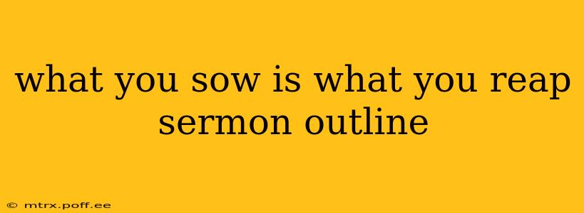 what you sow is what you reap sermon outline