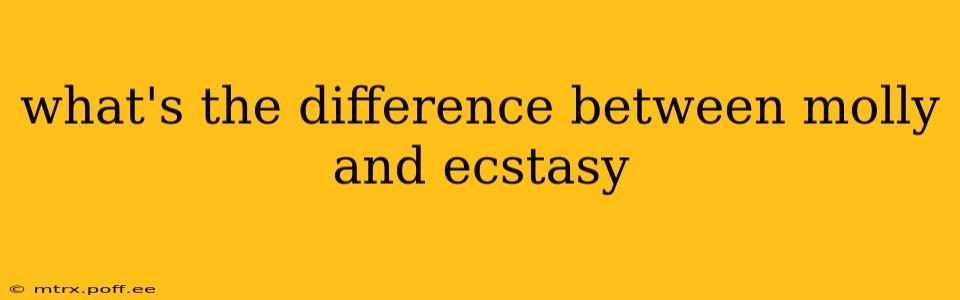 what's the difference between molly and ecstasy