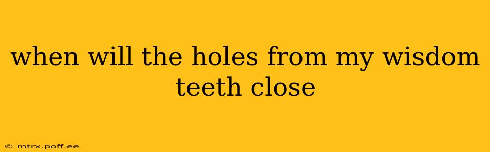 when will the holes from my wisdom teeth close