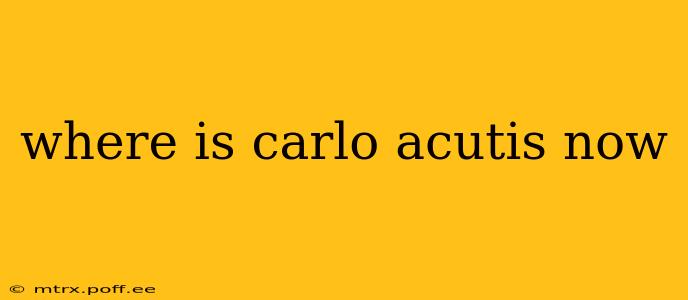 where is carlo acutis now
