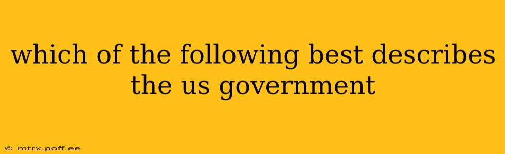 which of the following best describes the us government