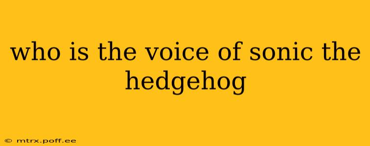 who is the voice of sonic the hedgehog