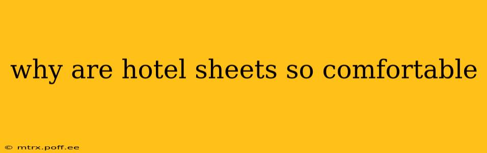 why are hotel sheets so comfortable