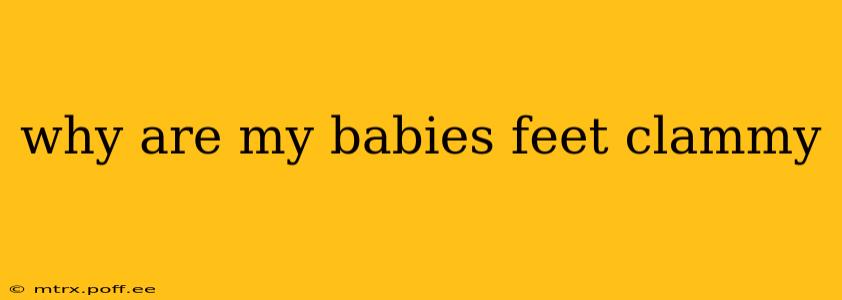 why are my babies feet clammy