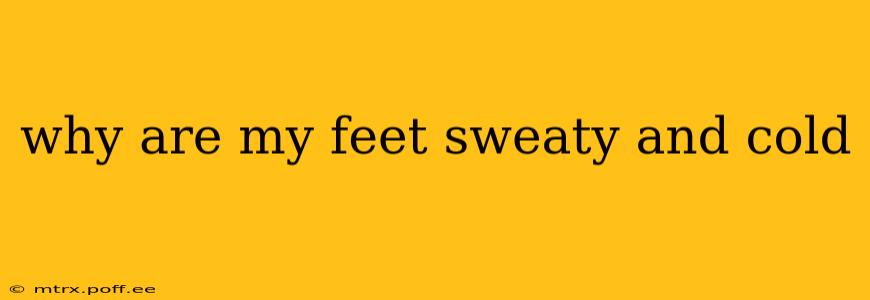 why are my feet sweaty and cold