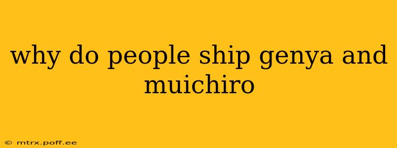 why do people ship genya and muichiro