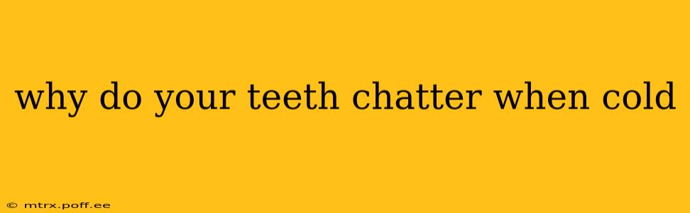 why do your teeth chatter when cold