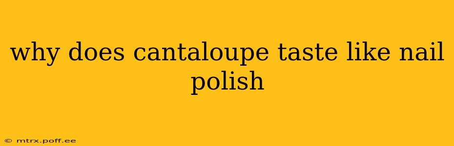 why does cantaloupe taste like nail polish