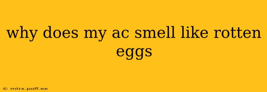 why does my ac smell like rotten eggs
