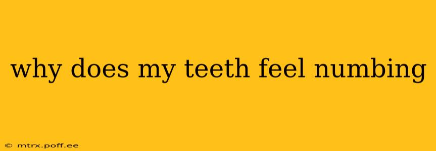 why does my teeth feel numbing