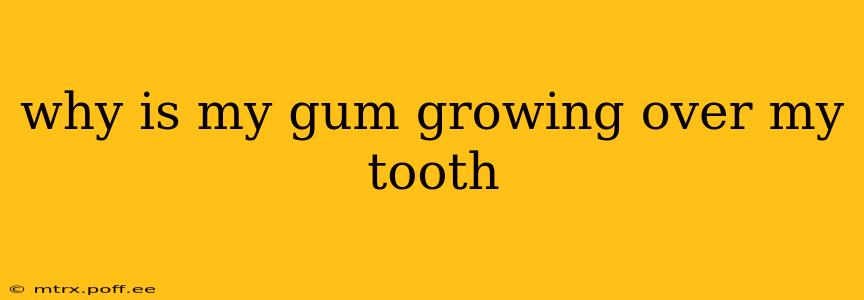 why is my gum growing over my tooth