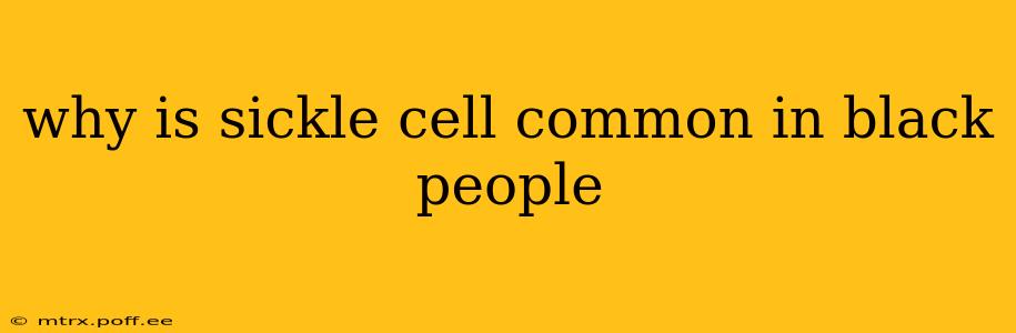 why is sickle cell common in black people