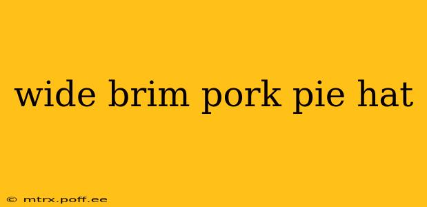 wide brim pork pie hat