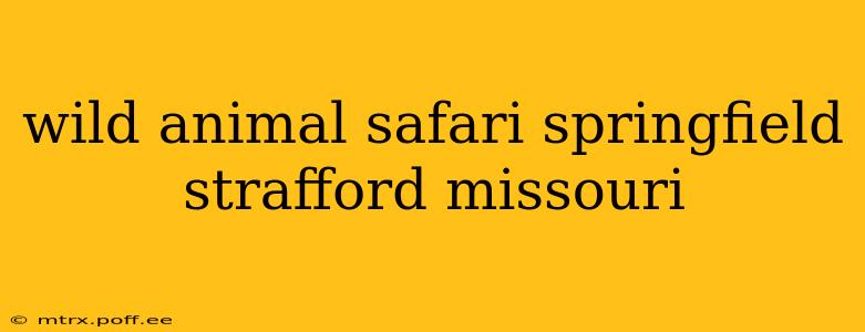 wild animal safari springfield strafford missouri