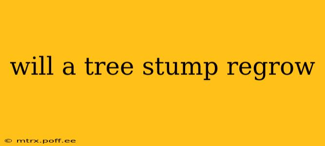 will a tree stump regrow