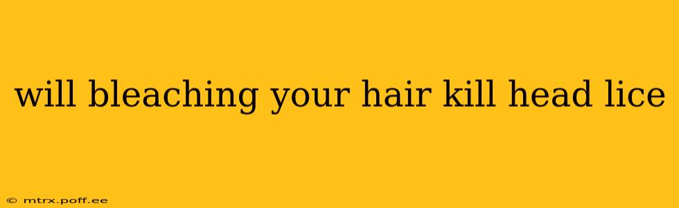 will bleaching your hair kill head lice
