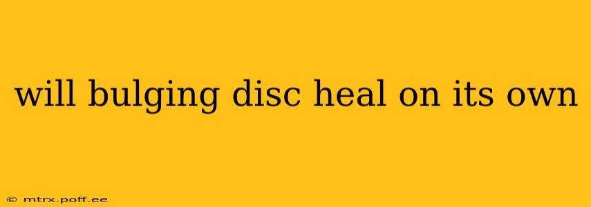 will bulging disc heal on its own