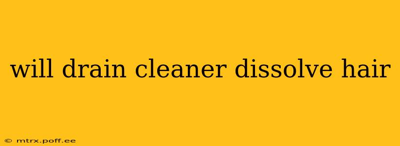will drain cleaner dissolve hair