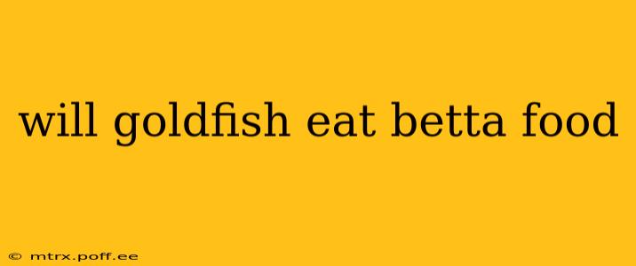 will goldfish eat betta food