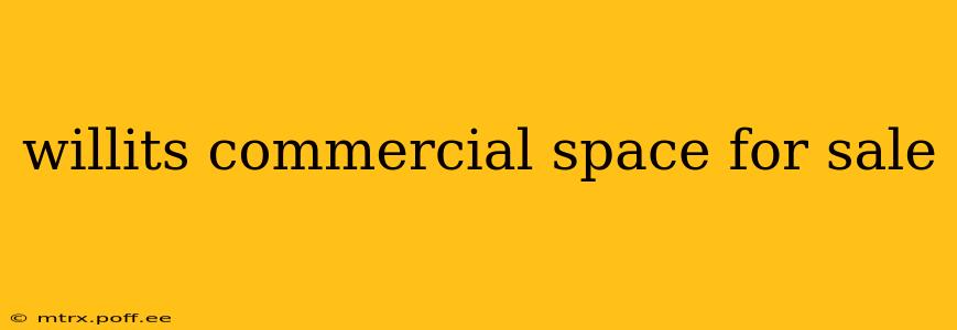 willits commercial space for sale