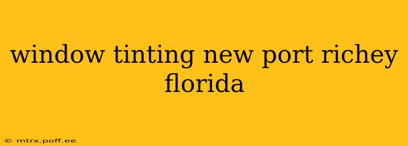 window tinting new port richey florida