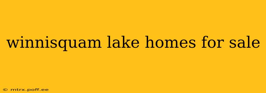 winnisquam lake homes for sale