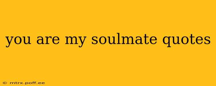 you are my soulmate quotes