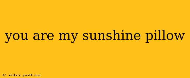 you are my sunshine pillow